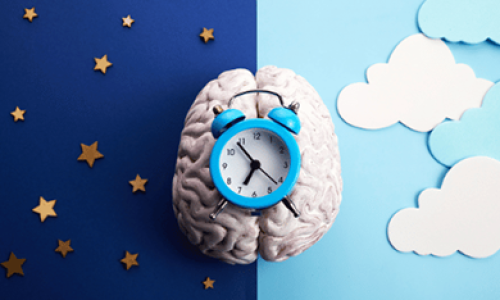 LA MELATONINA Y SU IMPORTANCIA