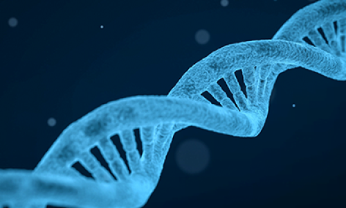 Ácido butírico, un componente clave para la salud intestinal de pacientes con Biopolímeros