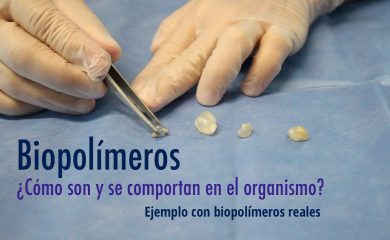 Biopolímeros Capítulo 2: Cómo son y se comportan en el cuerpo. Ejemplo con biopolímeros reales.